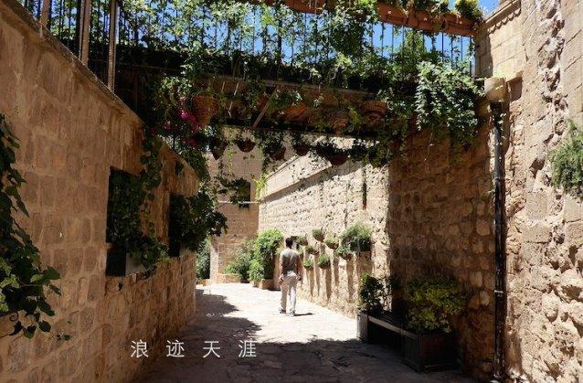 刺客信条：枭雄