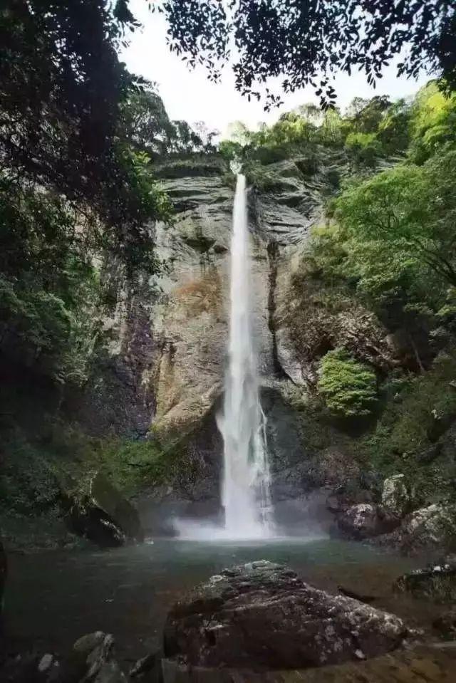 豆娃勇士2